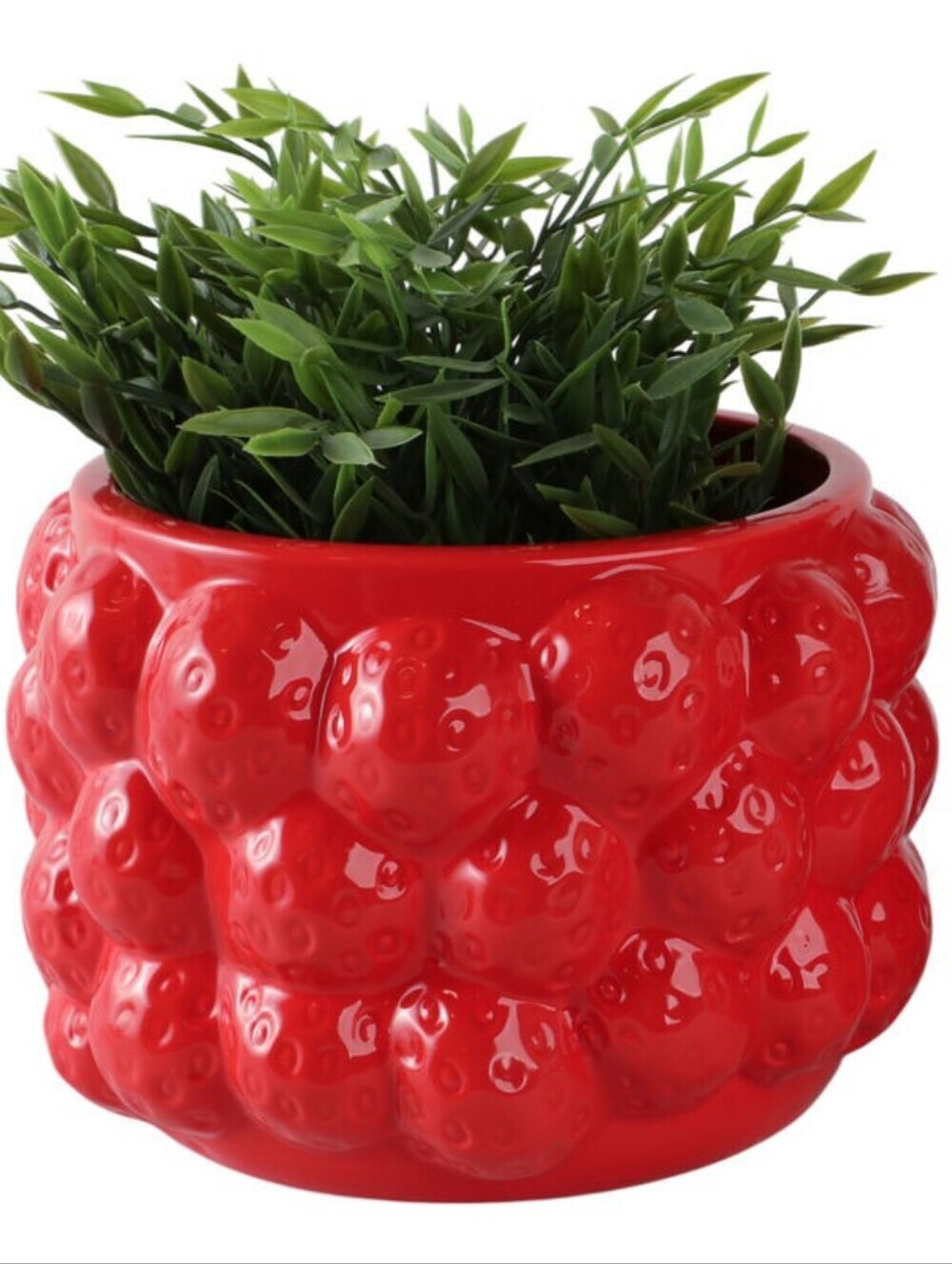 Red Berry Glazed Ceramic Flower Pot